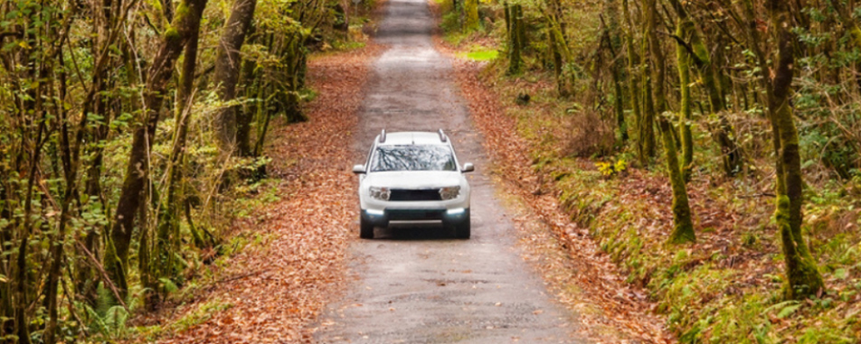 Auto-Product-Fall Auto-Product-Fall